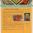10 üzleti kép E-COWEB SOLUTION HUNGARY KFT. - WEBOLDAL, WEBÁRUHÁZ KÉSZÍTÉS, BÉRLÉS Szoftverfejlesztés, adatfeldolgozás ban/ben Budapest