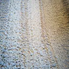 10 üzleti kép ECO CLEAN SZŐNYEGTISZTÍTÁS Tisztítás ban/ben Győr GS