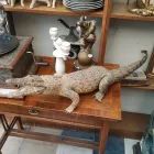 4 üzleti kép ECSERI FLEA MARKET Üzletek ban/ben Budapest