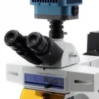 1 üzleti kép ELEKTRO-OPTIKA KFT. Szemészet, látszerész ban/ben Érd PE