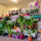 2 üzleti kép ERAVIRÁG Virágüzlet, virágkötészet ban/ben Gödöllő PE