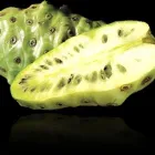 5 üzleti kép EREDETI TAHITIAN NONI RENDELÉS 5500 FT/L-TŐL.- AJÁNDÉK KÖNYV! 06-70-511-2961 ban/ben Budapest