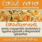 16 üzleti kép ESKÜVŐ NEKTEK SZERVEZŐ IRODA Üzleti szolgáltatások ban/ben Budapest PE