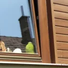 2 üzleti kép FATREND NYÍLÁSZÁRÓ KFT. Otthon és Építőipar ban/ben Székesfehérvár FE