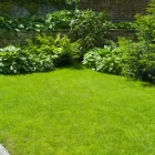 1 üzleti kép FÓRUMKERT KERTÉSZETI SZAKÜZLET Kertészet ban/ben Veszprem VE