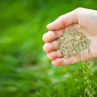 3 üzleti kép FÓRUMKERT KERTÉSZETI SZAKÜZLET Kertészet ban/ben Veszprem VE