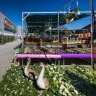 7 üzleti kép FÓRUMKERT KERTÉSZETI SZAKÜZLET Kertészet ban/ben Veszprem VE