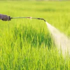 11 üzleti kép FÓRUMKERT KERTÉSZETI SZAKÜZLET Kertészet ban/ben Veszprem VE