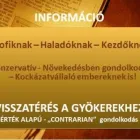 1 üzleti kép GM-VIP ALTERNATÍV PÉNZÜGYI INFORMÁCIÓK Jogi & Pénzügyi szolgáltatások ban/ben Kecskemét BK