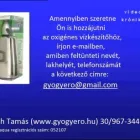 1 üzleti kép GYÓGYERŐ EGÉSZSÉGKÖZPONT Egészség & Szépségápolás ban/ben Budapest