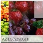 5 üzleti kép GYÜMÖLCSEXPRESSZ Üzleti szolgáltatások ban/ben Göd PE