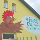 5 üzleti kép #HASHTEGG TOYEE KALANDPARK Sport & Szabadidő ban/ben Siófok SO