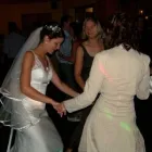 25 üzleti kép HAWAII EGYÜTTES Zeneszolgáltatás ban/ben Siófok SO