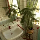 8 üzleti kép HOUSE FOR SALE Otthon és Építőipar ban/ben Budapest