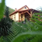 4 üzleti kép JUHAR VENDÉGHÁZ Üzleti szolgáltatások ban/ben Salgótarján NO