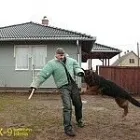 2 üzleti kép K-9 TESTŐR KUTYAISKOLA KFT Sport & Szabadidő ban/ben Nyíregyháza SZ