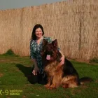 5 üzleti kép K-9 TESTŐR KUTYAISKOLA KFT Sport & Szabadidő ban/ben Nyíregyháza SZ