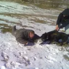 8 üzleti kép K-9 TESTŐR KUTYAISKOLA KFT Sport & Szabadidő ban/ben Nyíregyháza SZ