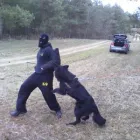 9 üzleti kép K-9 TESTŐR KUTYAISKOLA KFT Sport & Szabadidő ban/ben Nyíregyháza SZ