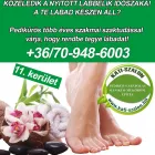 14 üzleti kép KATI-SZALON. PEDIKŰR-LÁBÁPOLÁS Szépségszalon, kozmetika ban/ben Budapest