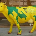 16 üzleti kép KERT-LAKÁS GALÉRIA Üzleti szolgáltatások ban/ben Kiskunhalas BK