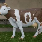 20 üzleti kép KERT-LAKÁS GALÉRIA Üzleti szolgáltatások ban/ben Kiskunhalas BK