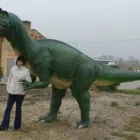 22 üzleti kép KERT-LAKÁS GALÉRIA Üzleti szolgáltatások ban/ben Kiskunhalas BK