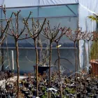 2 üzleti kép KERTCENTRUM ZAMÁRDI-FELSŐ Kertészet ban/ben Zamárdi SO