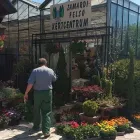 5 üzleti kép KERTCENTRUM ZAMÁRDI-FELSŐ Kertészet ban/ben Zamárdi SO