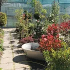 6 üzleti kép KERTCENTRUM ZAMÁRDI-FELSŐ Kertészet ban/ben Zamárdi SO