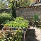 8 üzleti kép KERTCENTRUM ZAMÁRDI-FELSŐ Kertészet ban/ben Zamárdi SO