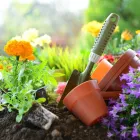 9 üzleti kép KERTCENTRUM ZAMÁRDI-FELSŐ Kertészet ban/ben Zamárdi SO