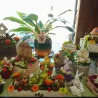 4 üzleti kép KISS VIRÁG VIRÁGBOLT Virágok, virágpiac, virágküldés ban/ben Pápa VE