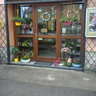 8 üzleti kép KISS VIRÁG VIRÁGBOLT Virágok, virágpiac, virágküldés ban/ben Pápa VE