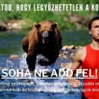 31 üzleti kép KREATÍV INAS. MARKETING Üzleti szolgáltatások ban/ben Budapest