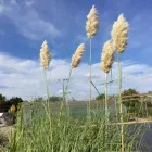 1 üzleti kép LARIX FAISKOLA Faiskolák ban/ben Miskolc BZ