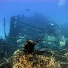 18 üzleti kép LILIOMDIVERS LTD. Utazási iroda ban/ben Hurghada