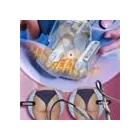 8 üzleti kép MANDALA GYÓGY-WELLNESS STUDIÓ Szépségszalon, kozmetika ban/ben Érd PE