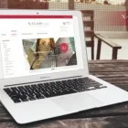 2 üzleti kép MEDIAART ONLINE MEGOLDÁSOK KFT. Webhosting ban/ben Győr GS