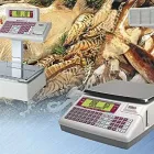 37 üzleti kép METRIPOND PLUS MÉRLEGTECHNIKA KFT. Számítástechnika & Elektronika ban/ben Hódmezővásárhely CS