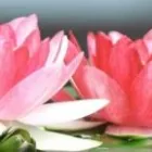 3 üzleti kép MOBIL MASSZŐR MASSZÁZS SZOLGALAT Szépségszalon, kozmetika ban/ben Siófok SO