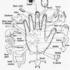 4 üzleti kép MOBIL MASSZŐR MASSZÁZS SZOLGALAT Szépségszalon, kozmetika ban/ben Siófok SO