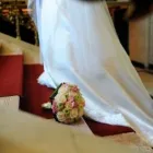 15 üzleti kép MOLNÁR ADRIEN | FÉNYKÉPÉSZ MESTER Számítástechnika & Elektronika ban/ben Veszprém