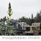 1 üzleti kép MOZGÓKÉPES STÚDIÓ Üzleti szolgáltatások ban/ben Siófok SO