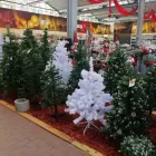 1 üzleti kép OBI ÁRUHÁZ BÉKÉSCSABA Lakásfelújítás ban/ben Békéscsaba BC