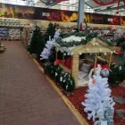 3 üzleti kép OBI ÁRUHÁZ BÉKÉSCSABA Lakásfelújítás ban/ben Békéscsaba BC