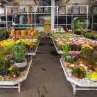 1 üzleti kép OBI FÜRDŐSZOBA BÉKÉSCSABA Fürdőszoba-berendezések és -felszerelések ban/ben Békéscsaba BC