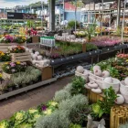 7 üzleti kép OBI KERTÉSZET BUDAPEST Kerti berendezések, bútorok ban/ben Budapest PE