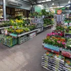 8 üzleti kép OBI KERTÉSZET BUDAPEST Kerti berendezések, bútorok ban/ben Budapest PE