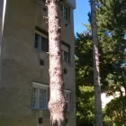 1 üzleti kép PATAKI TIBOR EGYÉNI VÁLLALKOZÓ Üzleti szolgáltatások ban/ben Székesfehérvár FE